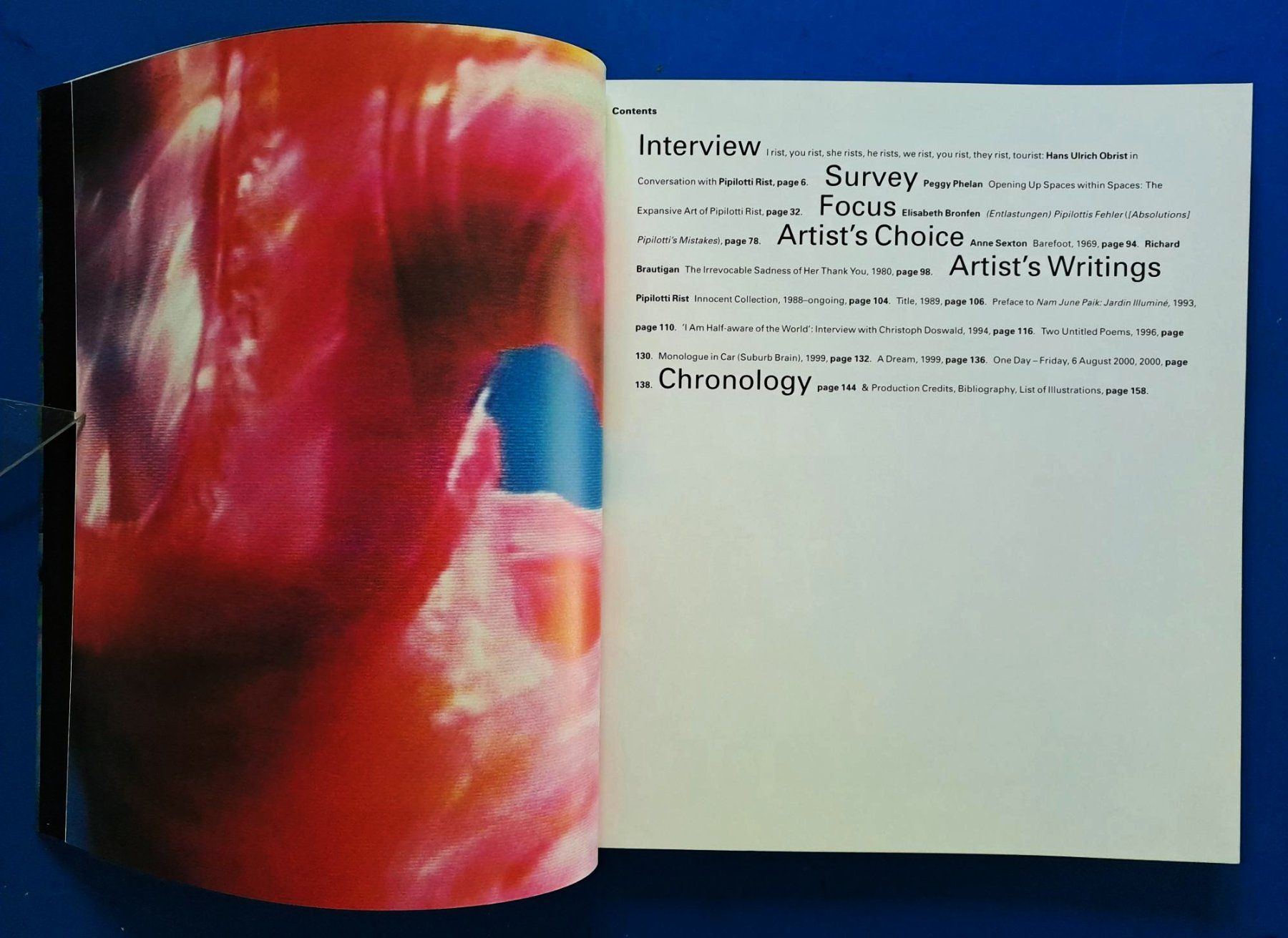 Libri: PIPILOTTI RIST Erstausgabe 2001 Phaidon TOP – Usato da Zürich venduto da archiphil 2