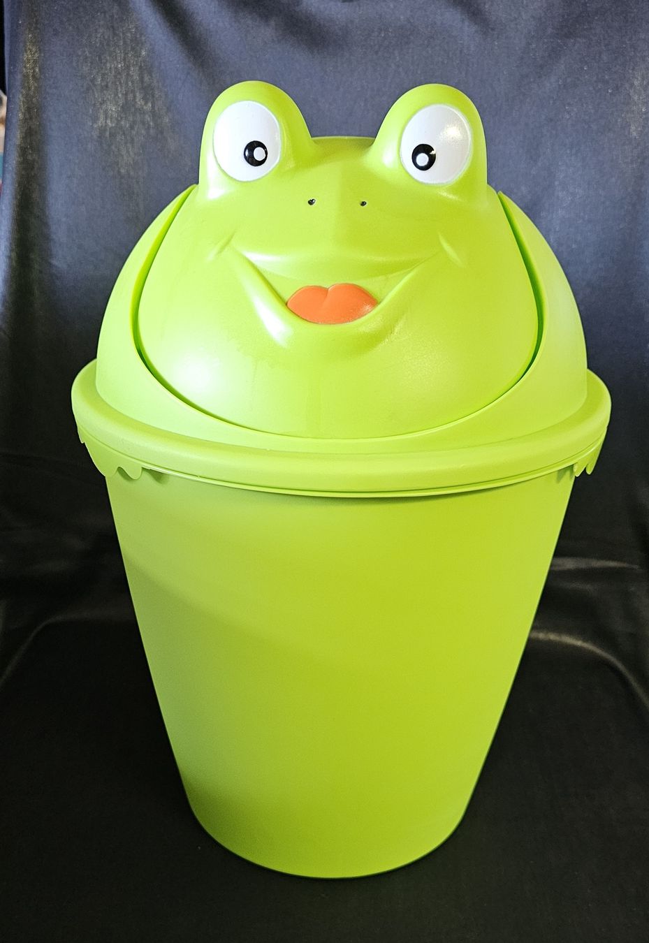 Altro per la casa: Abfalleimer Frosch Design Kinder Eimer  grün, 6 l – Usato da Wangen b. Olten venduto da ErikaK06 1
