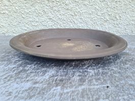 Bonsaischale
