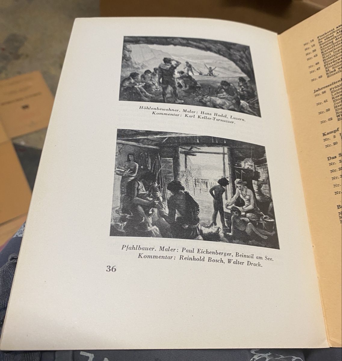 Bücher: Schulwandbildwerk Bücher – Gebraucht aus Liestal von Stephanoceras1 1