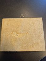Versteinerter Fisch