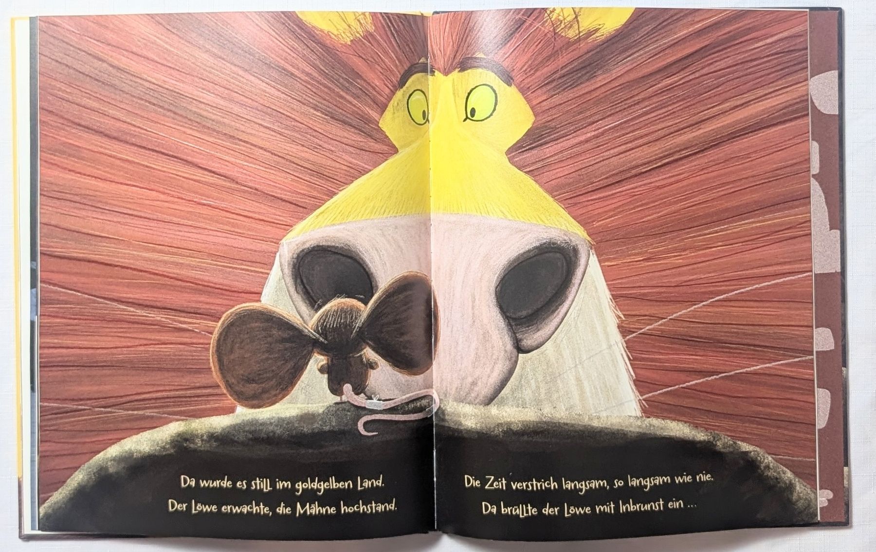 Libri: Der Löwe in dir - Rachel Bright – Nuovo (secondo la descrizione) da Wängi venduto da ABIZONE-86 3