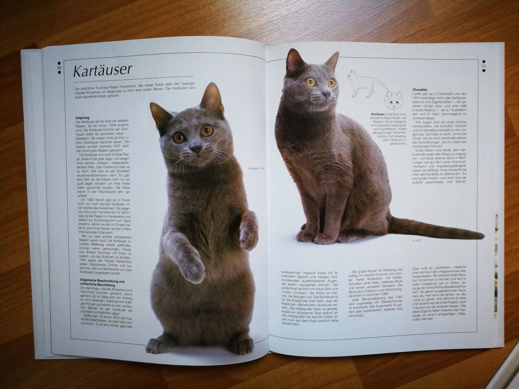 Livres: Katzenbücherset  4 - Teilig – D'occasion à Birrhard par Pry 8