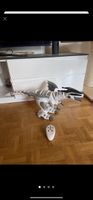 Roboter Drache