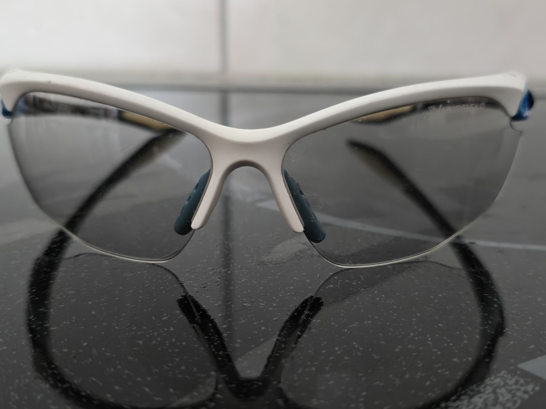 Alpina Occhiali & Lenti: Sonnenbrille alpine – Usato da Disentis/Mustér venduto da magliamel 2