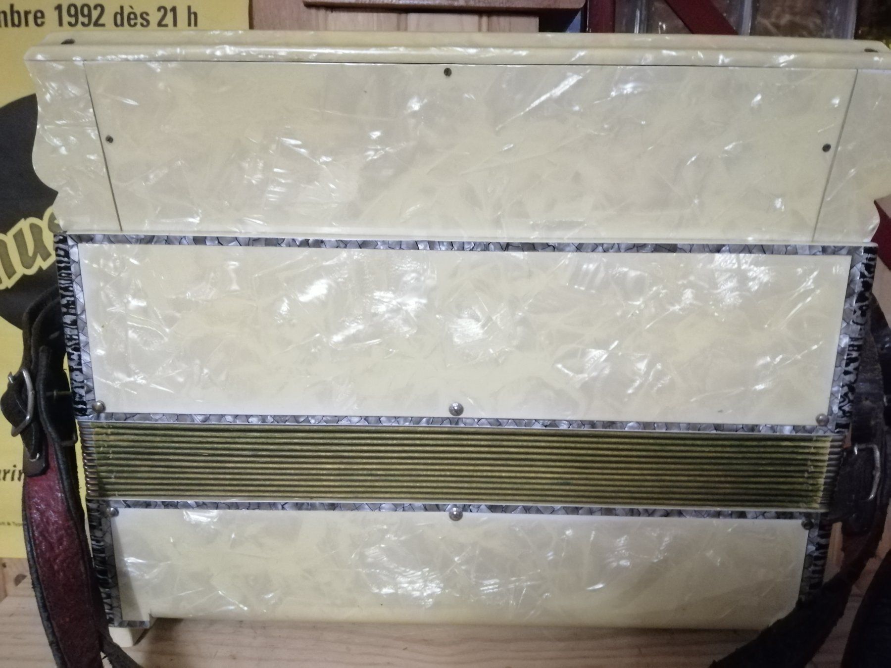 Strumenti musicali: akkordeon Ranco Guglielmo – Usato da Grandson venduto da Tutu44 3
