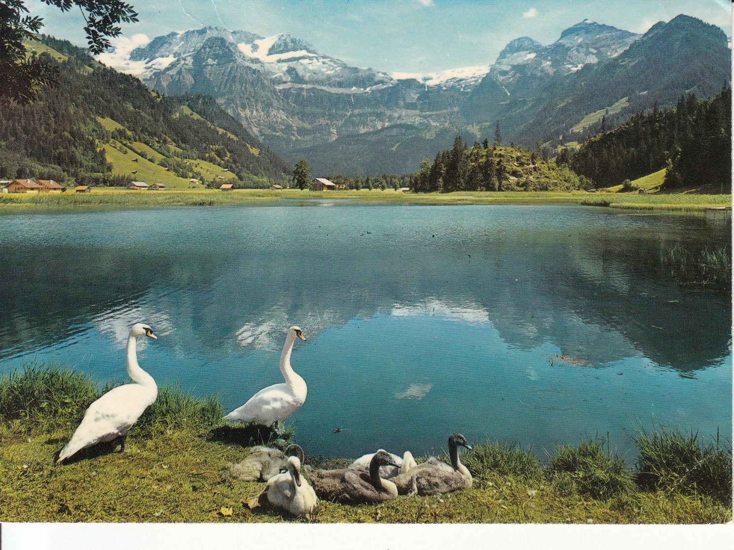 Ansichtskarten: Lenk Seeli 1980 – Gebraucht aus Bürglen TG von StampGraf