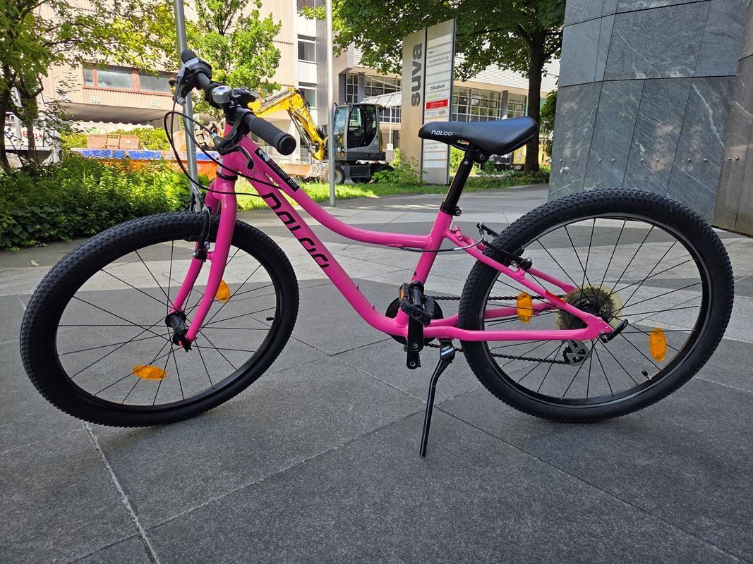 Naloo Velos: NALOO Kindervelo | Chameleon 24" – Gebraucht aus Luzern von Restwert_Luzern