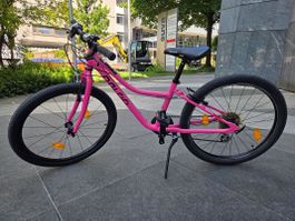 NALOO Kindervelo | Chameleon 24"