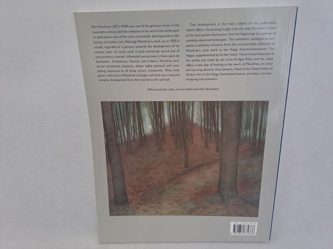 Libri: MONDRIAN Nature to Abstraction – Usato da Männedorf venduto da Restwert_Maennedorf 1