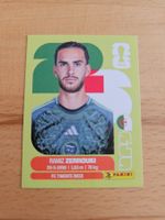 Panini WM 2026 ALG 11
