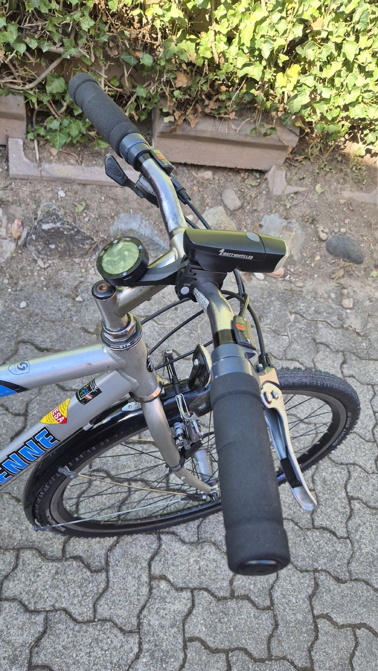 Velos: Velo ab Service – Gebraucht aus Oberhasli von Velo_Susak 4