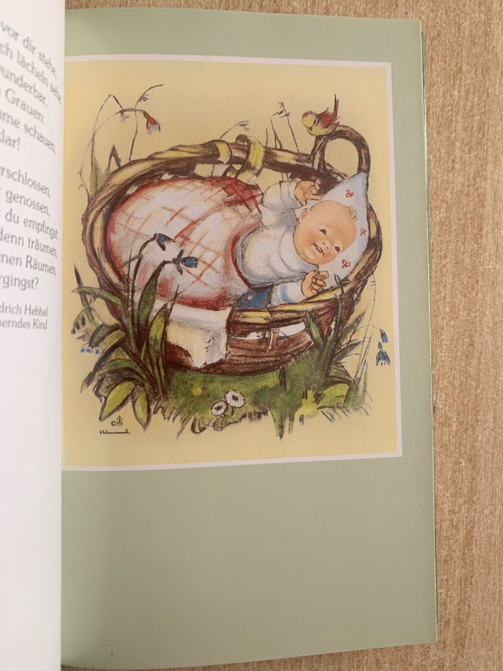 Livres: Fröhliche kleine Welt – D'occasion à Reinach BL par Grolifcb 2