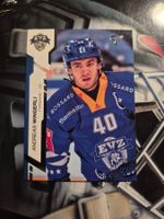 Andreas Wingerli EV Zug Sporzoo 2024/25