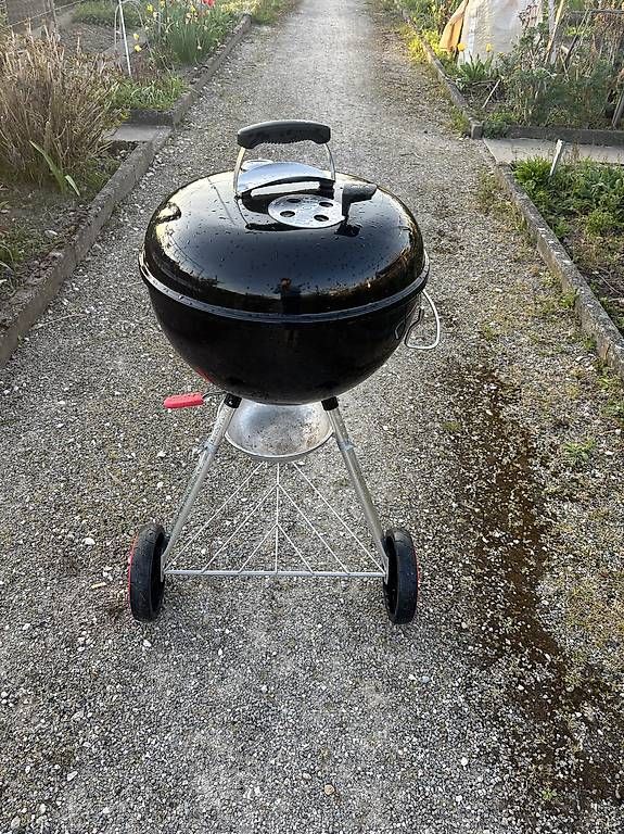 Griglie: Grill Weber – Usato da Basel venduto da meh_88mq