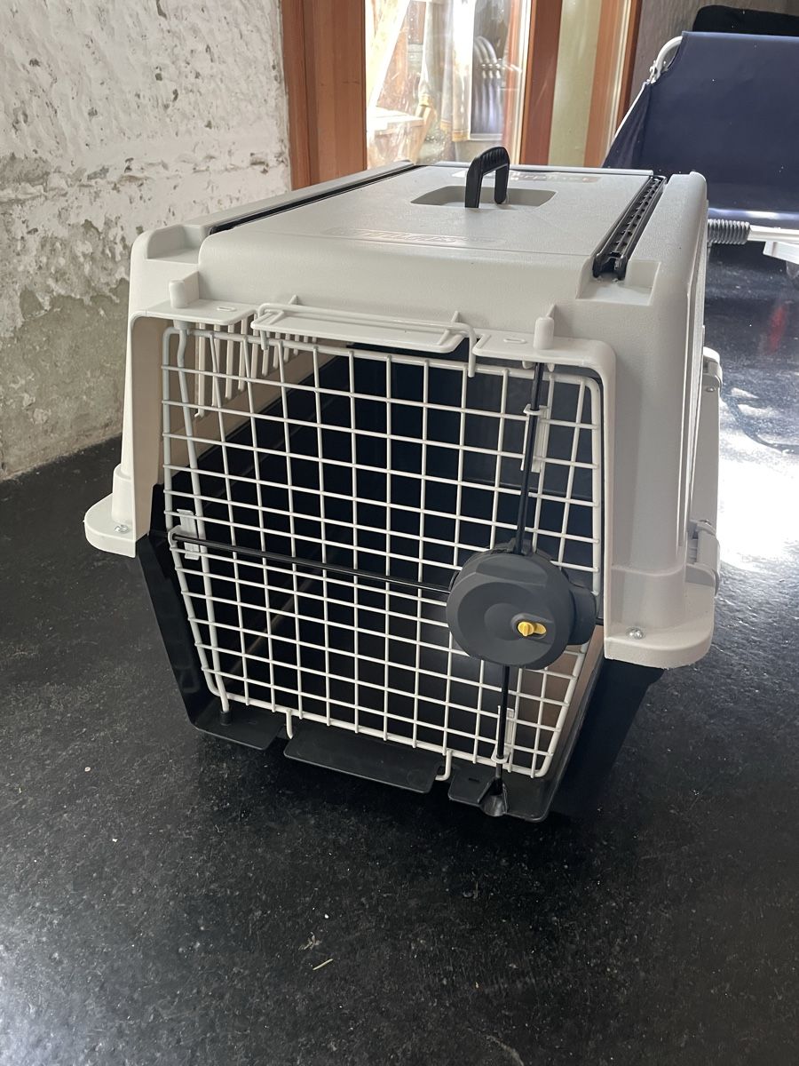 Sonstige Dekorationen & Accessoires: Hundebox – Gebraucht aus Bern von Belize08