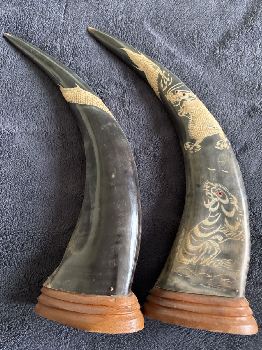 Tutte le decorazioni: Cornes de Buffle ORIGINAUX 2 pièces  – Usato da Bussigny venduto da Numk 2
