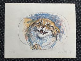 Lithografie / Katze von FRITZ HUG 1977      (ID B5830)