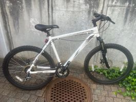 PRINCETON Mountainbike