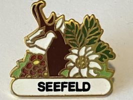 1 Pin Seefeld
