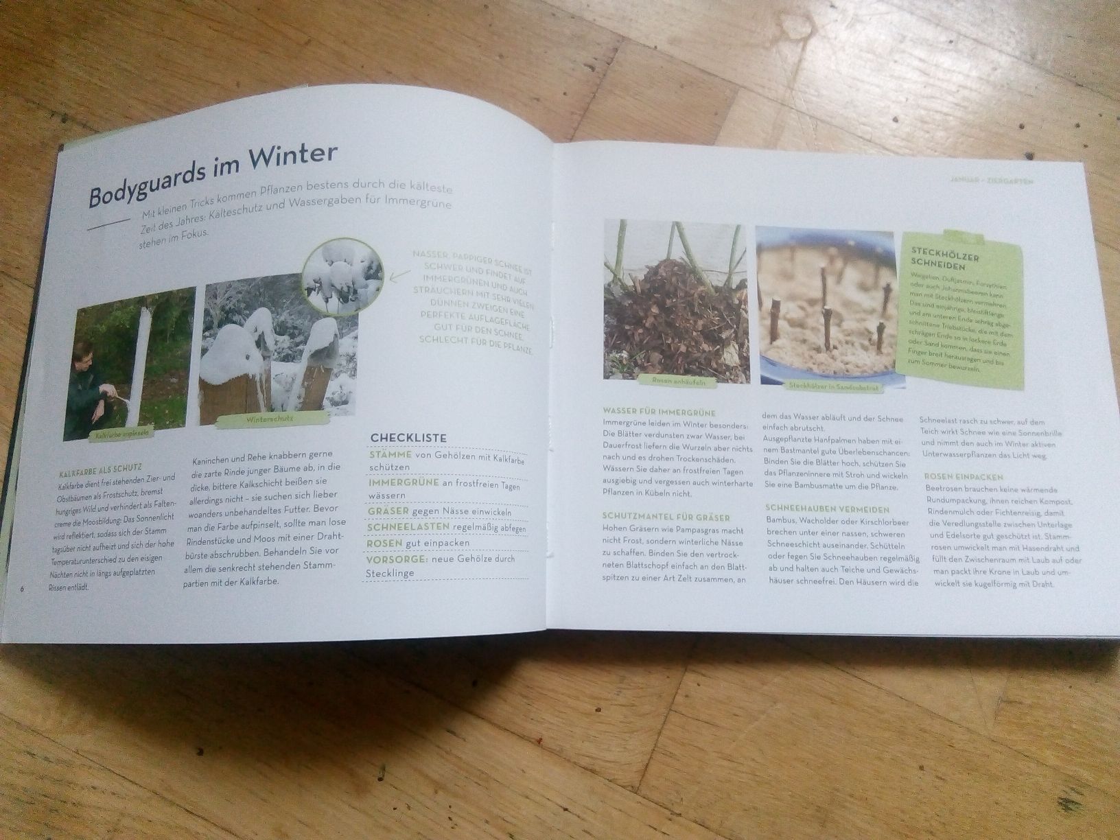 Libri: Wächst das von allein? - oder muss ich jetzt was machen? – Usato da St. Gallen venduto da elk2021 5