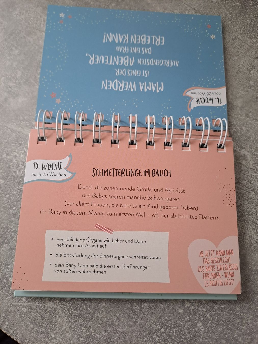 Calendari: Schwangerschafts-Countdown Kalender "Ein kleines Wunder" – Nuovo (secondo la descrizione) da Münchenbuchsee venduto da Babsique 1