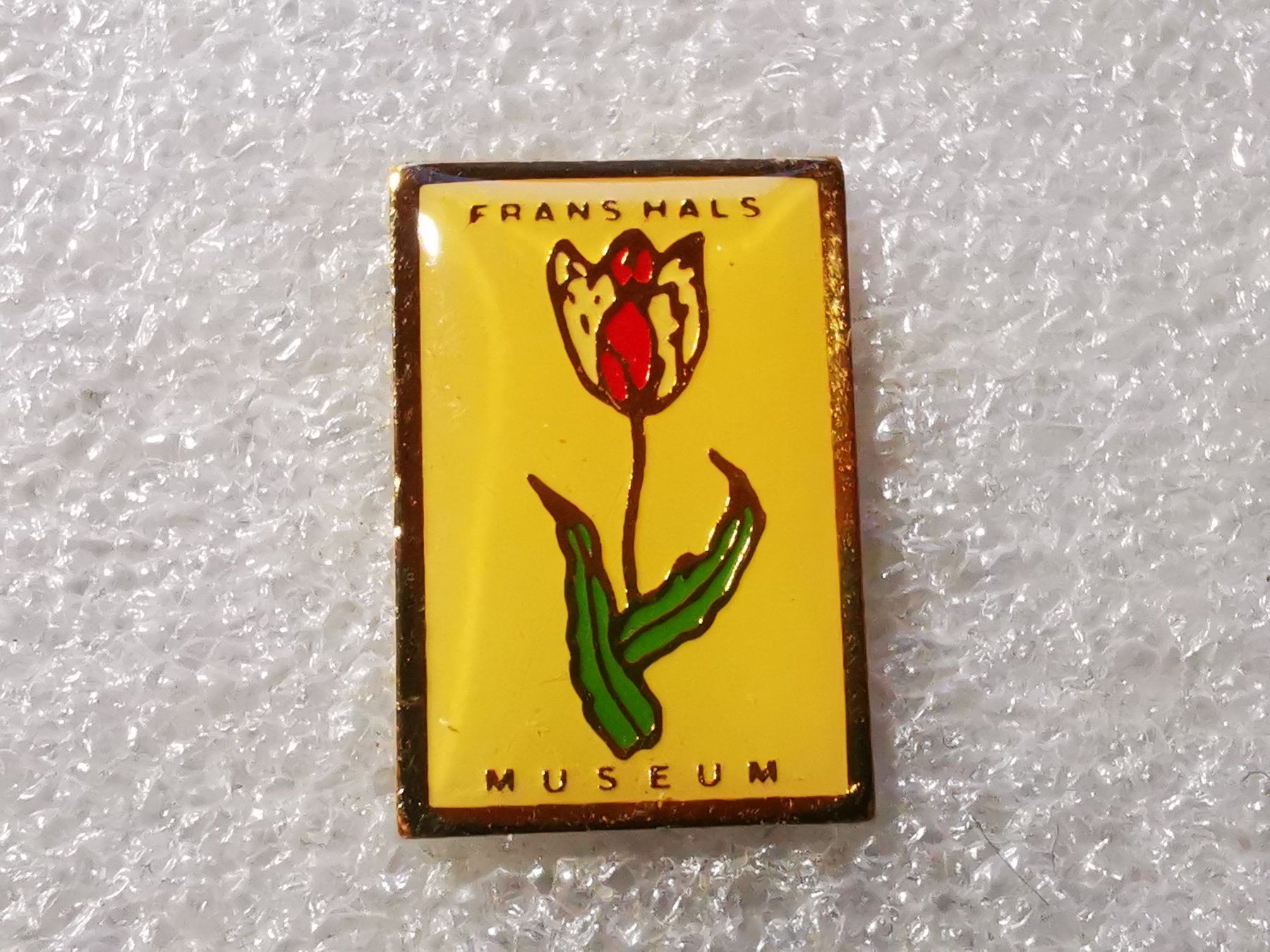 Placchette & Badge: Ansteckpin 134: Frans Hals Museum – Usato da Oppligen venduto da Pin-Fall-Shop