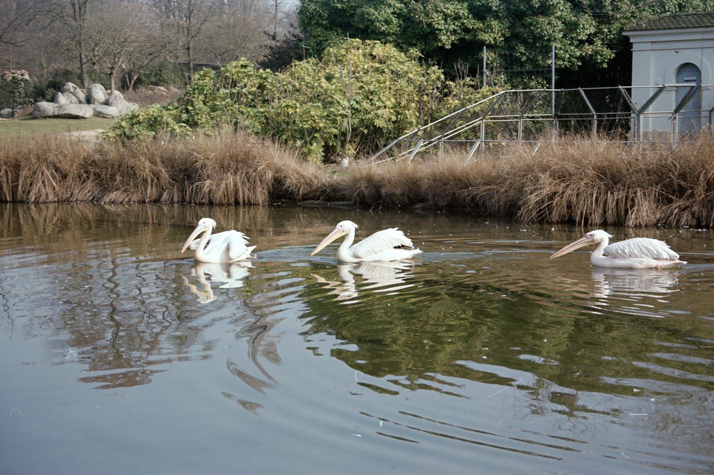 Canon Kamera: CANON EOS 300 analogique – Gebraucht aus Travers von pelayoo77 7
