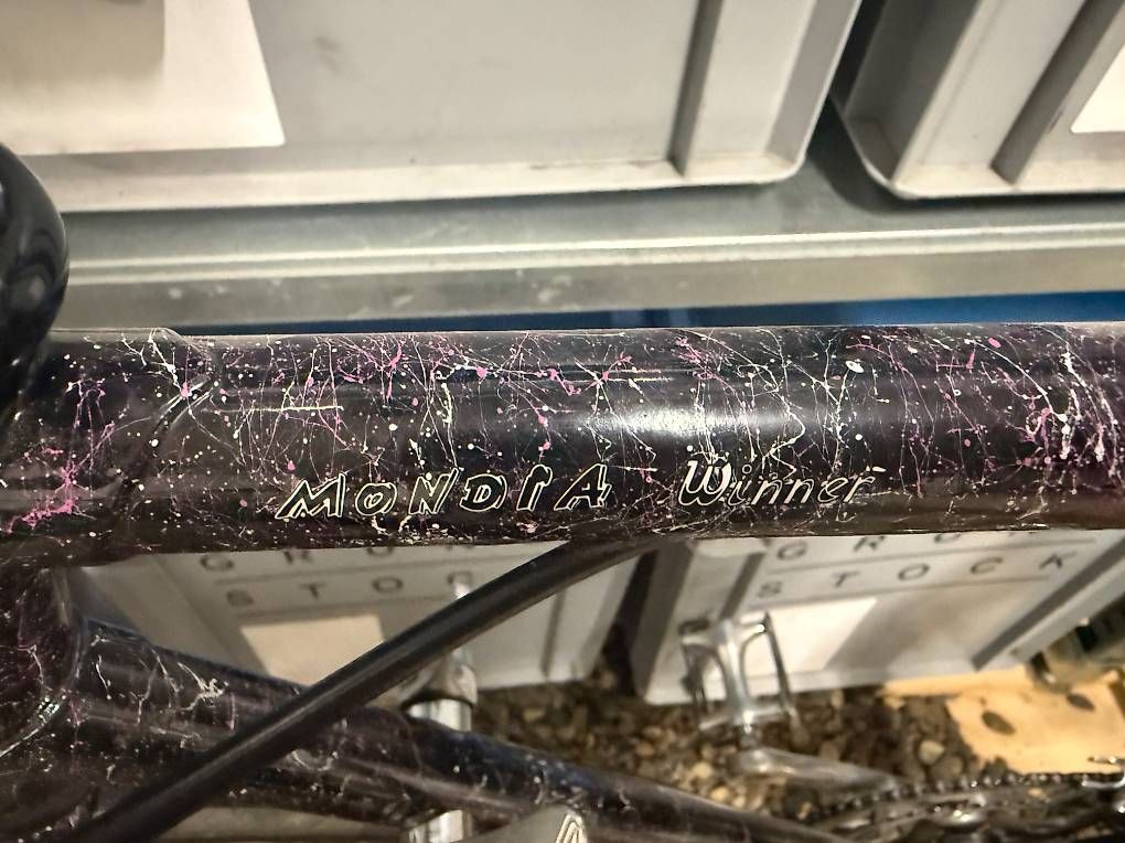 Mondia Biciclette: Mondia Winner Rennvelo – Usato da Bern venduto da Reblo 4