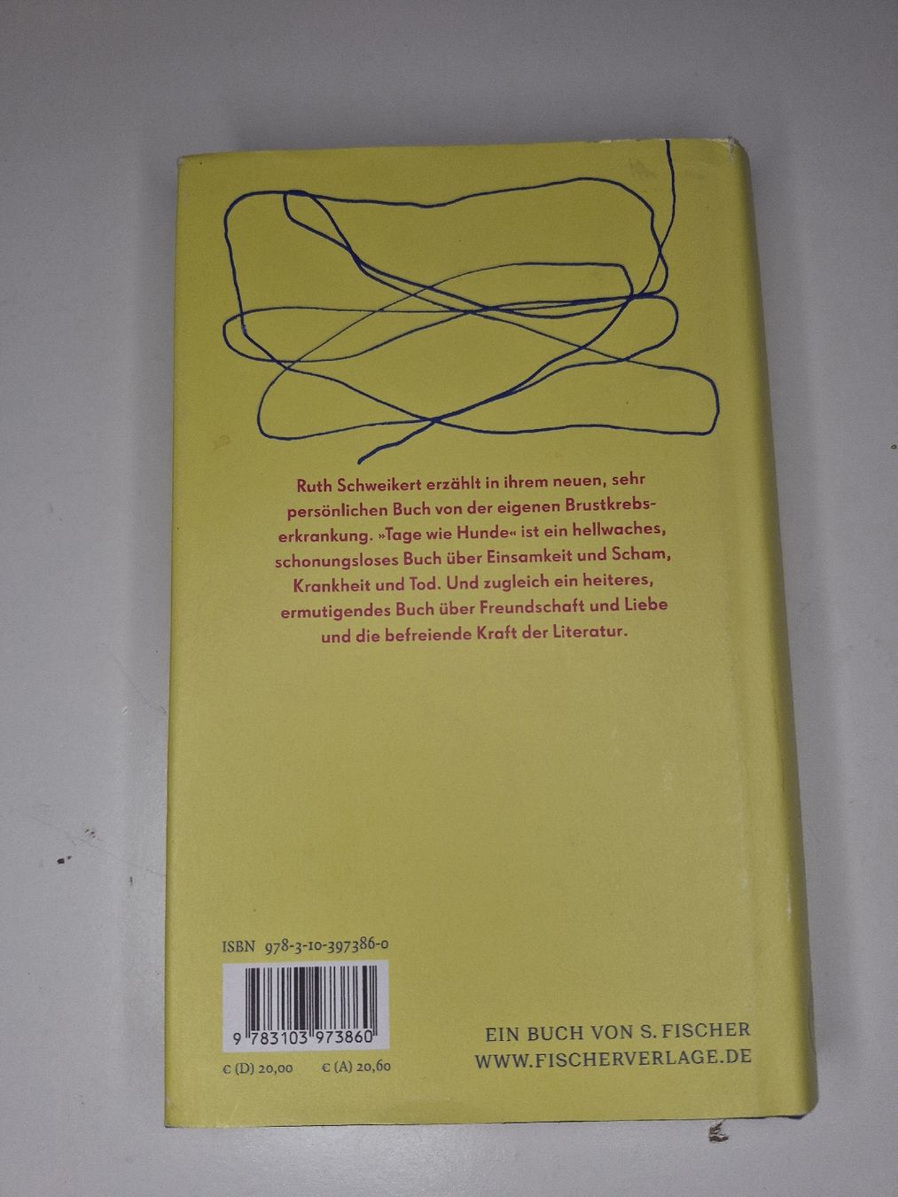 Bücher: Buch "Tage wie Hunde" Ruth Schweikert  – Gebraucht aus Ennetbaden von lou_6mq2 1