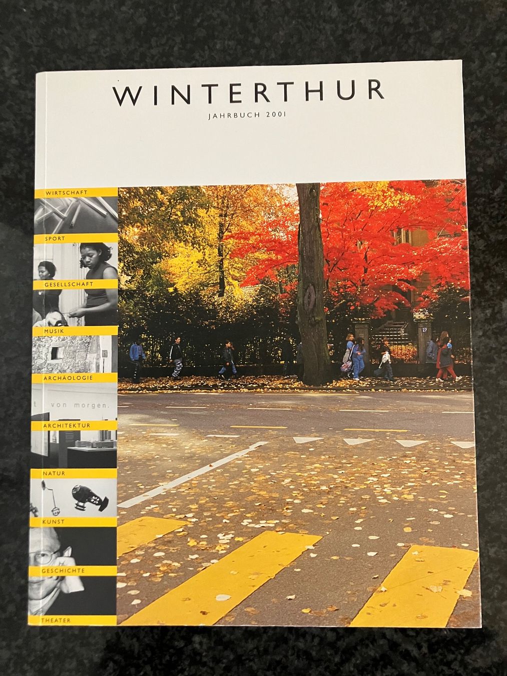 Libri: Winterthurer Jahrbuch 2001 – Usato da Winterthur venduto da efant12