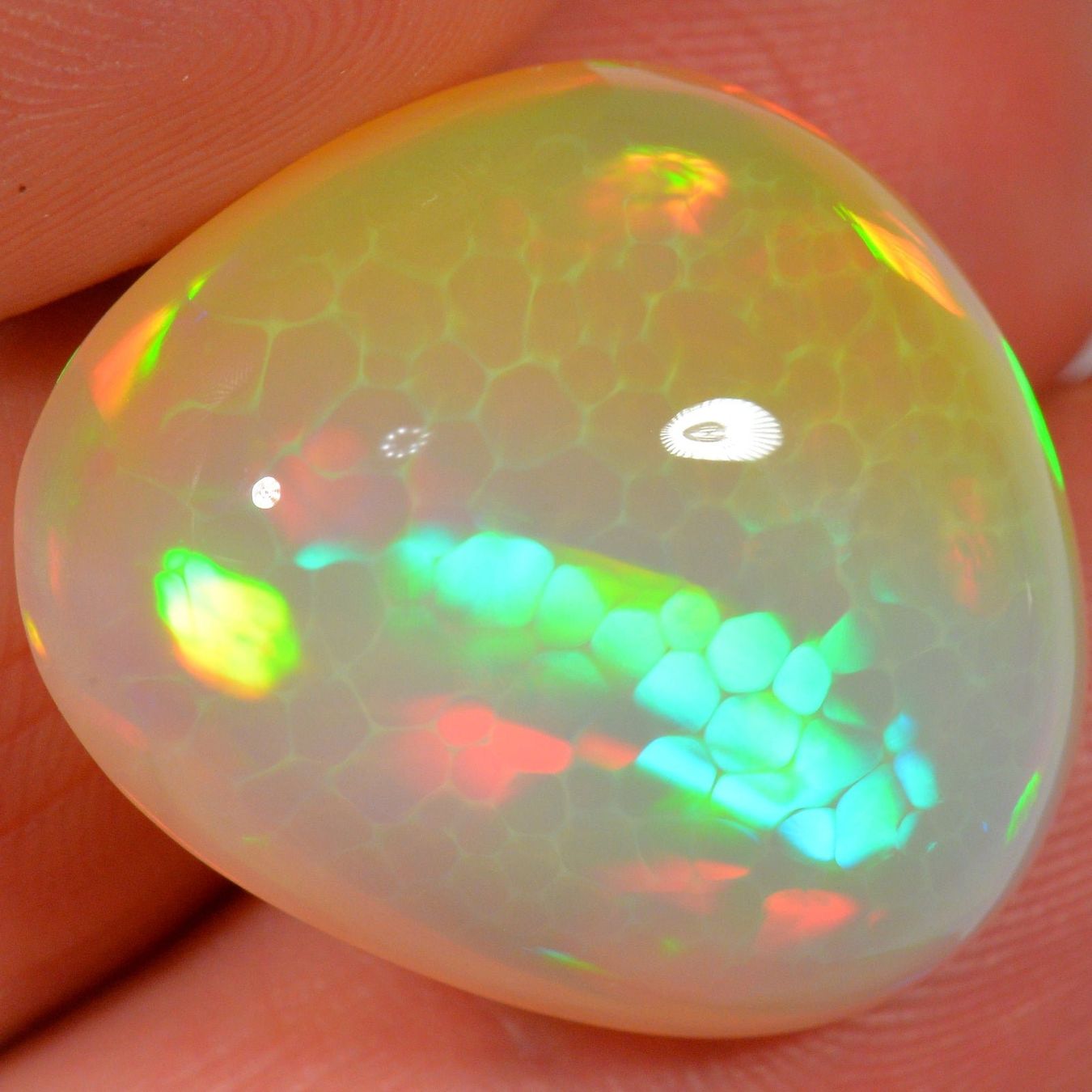 Edelsteine: 32.3 Karat - Äthiopischer Welo Opal – Neu (gemäss Beschreibung) aus Rüti ZH von DeinOpal 4