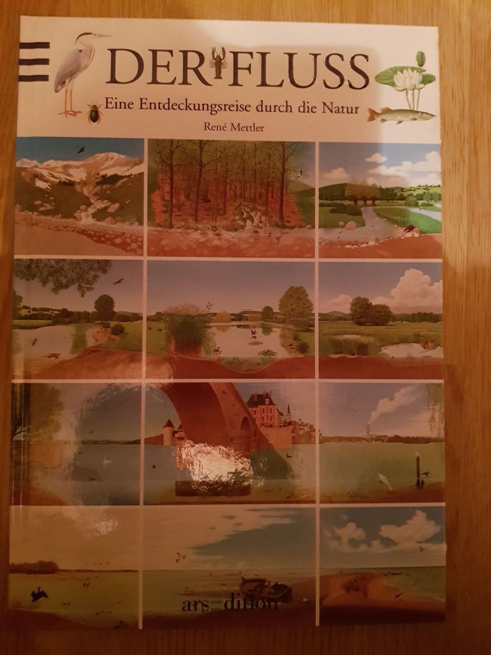 Libri: Buch Der Fluss – Nuovo (secondo la descrizione) da Spiegel b. Bern venduto da Flamingo07