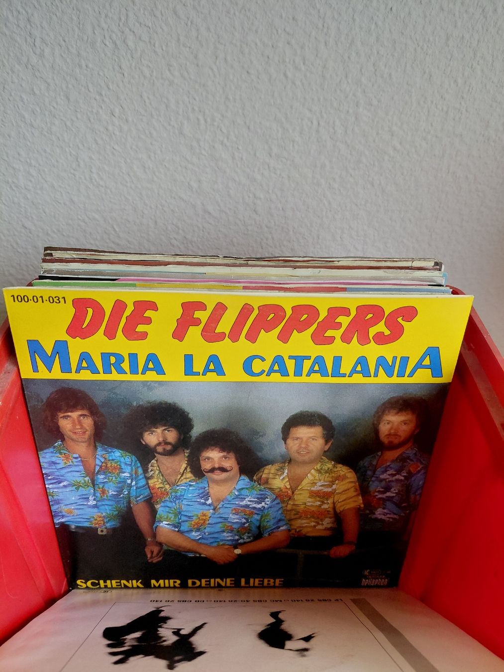Dischi in vinile: Sammlung, 100 Single Konvolut – Usato da Greifensee venduto da Retepw 6