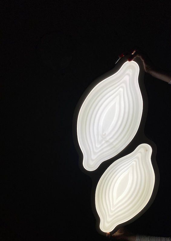 Lampadari & plafoniere: lot de 2 plafonniers LED – Nuovo (secondo la descrizione) da lossy venduto da katz_fr 6