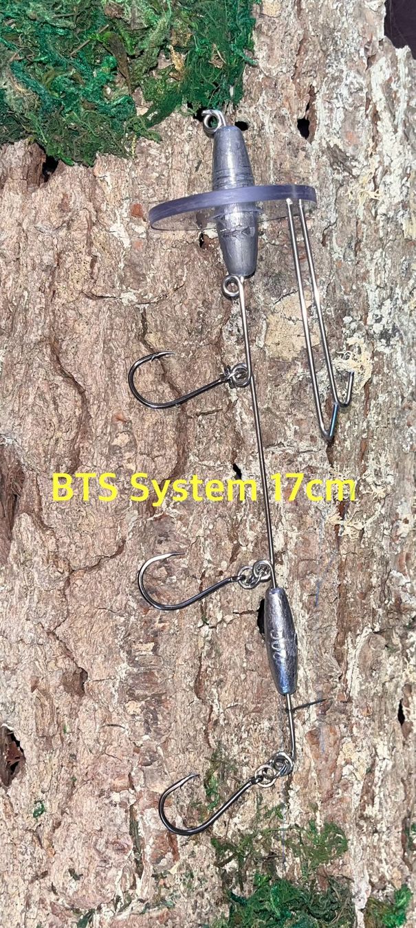 Esche: Köderfisch System - Butch Trolling System (BTS) - Gr. 17 cm – Nuovo e nell'imballaggio originale da Wolhusen venduto da BTB_FishingTackle 1