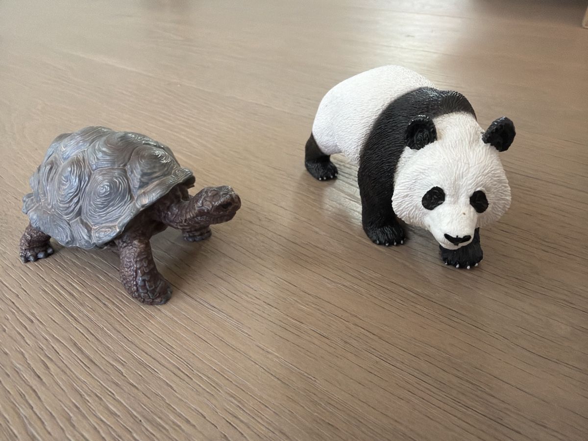 Schleich Giocattoli: Schleich Schildkröte und Panda – Usato da Kallnach venduto da Thetrader