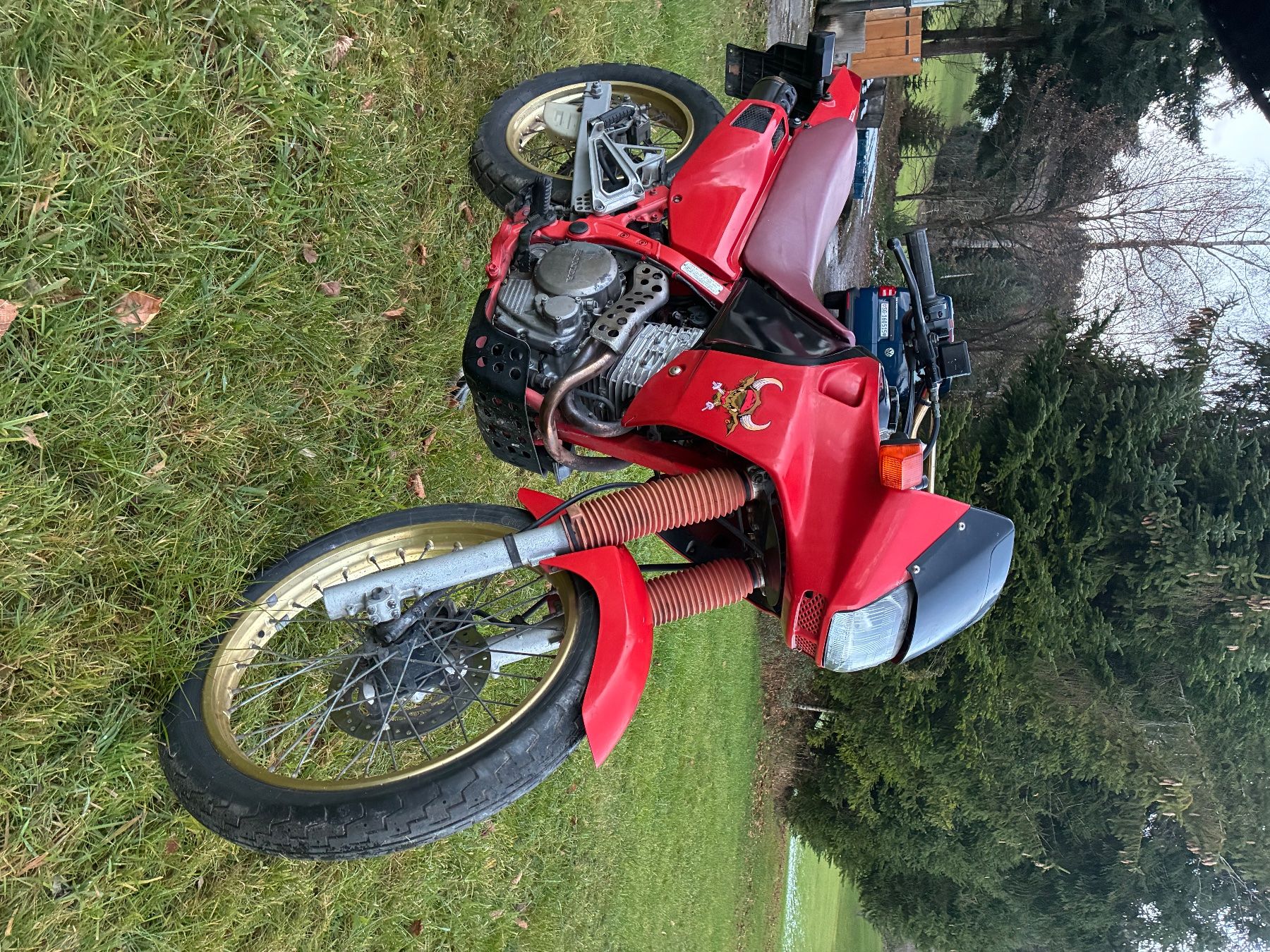Honda Enduro: Honda Dominator 650 ccm – Usato da St. Gallen venduto da MarkoBoss 3