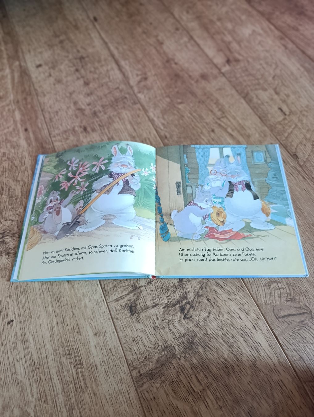 Livres: Kinderbuch - Karlchen Kaninchen - Omas Blumenbeet – D'occasion à Büttikon AG par spe_9c9w 2
