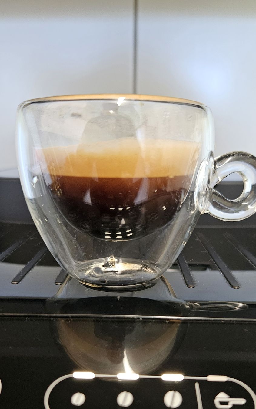 De'Longhi Kaffeemaschinen & Espressomaschinen: De'Longhi Magnifica Evo  – Gebraucht aus Dietikon von StefanAl 1