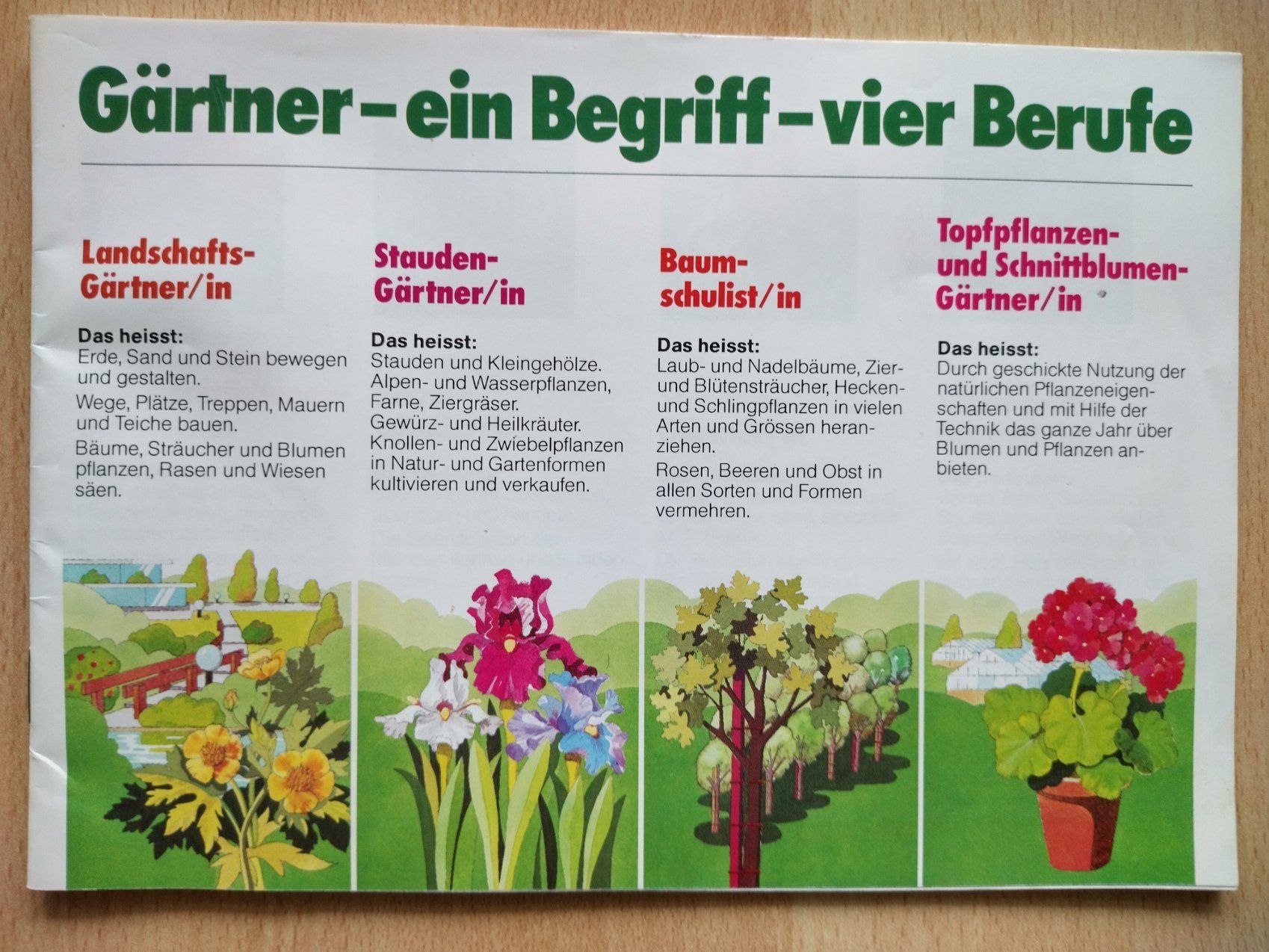 Libri: Gärtner - ein Begriff - vier Berufe (1988) – Usato da Jona venduto da Argus36