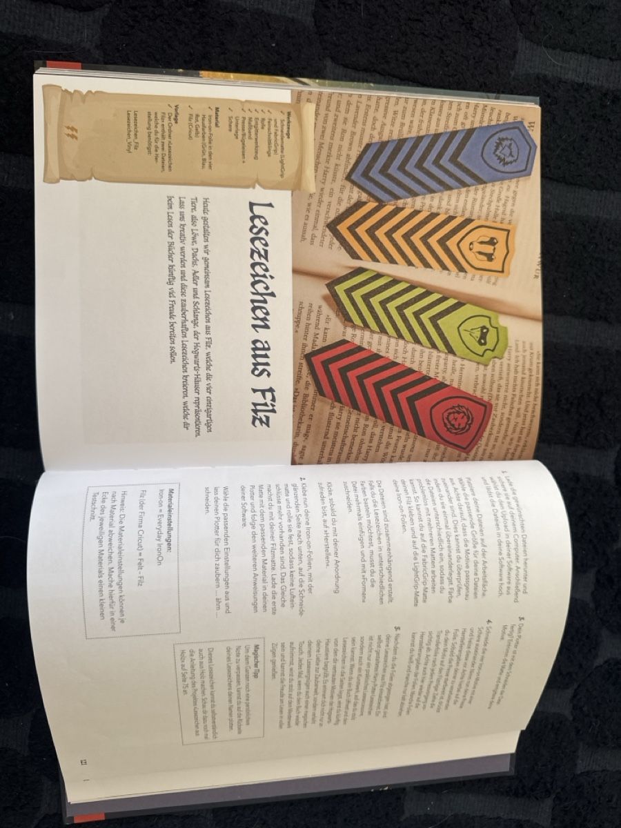 Libri: Plotten mit Harry Potter, Buch – Usato da Zürich venduto da szityu 2