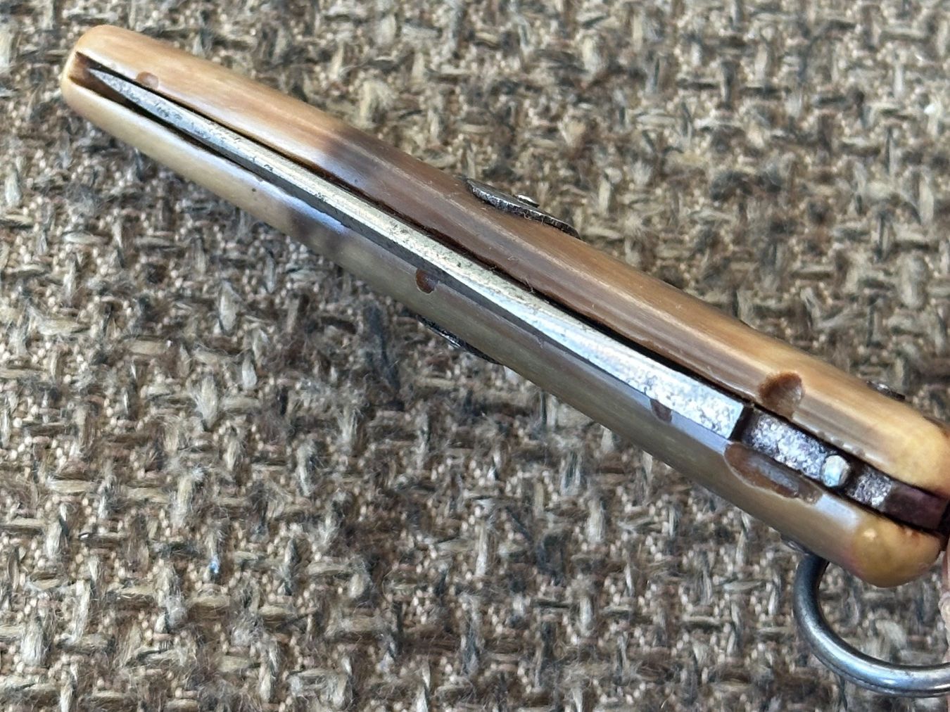 Coltelli tascabile: Einzigartiges antikes Schweizer Sackmesser SIMON BERNE Horn – Usato da Dübendorf venduto da lan1808 6