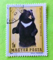 Briefmarken aus Ungarn gestempelt Siehe Original Fotos. 