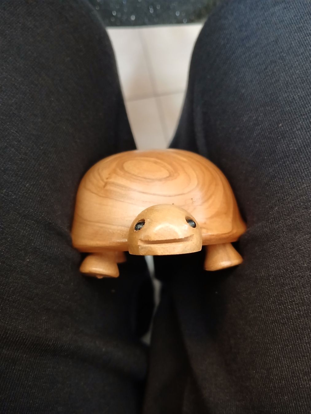 Figuren: tortue en bois – Gebraucht aus Monthey von mar_h6jr 2