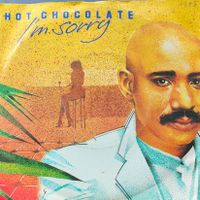 Vinyl Single Hot Chocolate - I'm Sorry