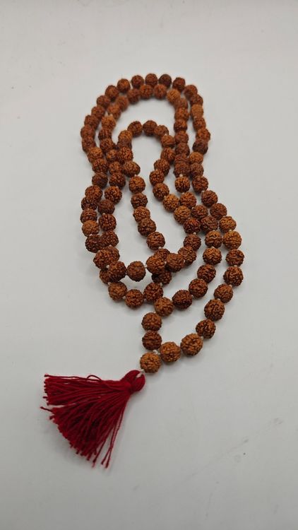 Wader Replay Teeservice Für 6 Personen - 20-teiliges Kindergeschirr Ab 12 Monaten