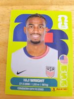 Panini FIFA World Cup USA 19