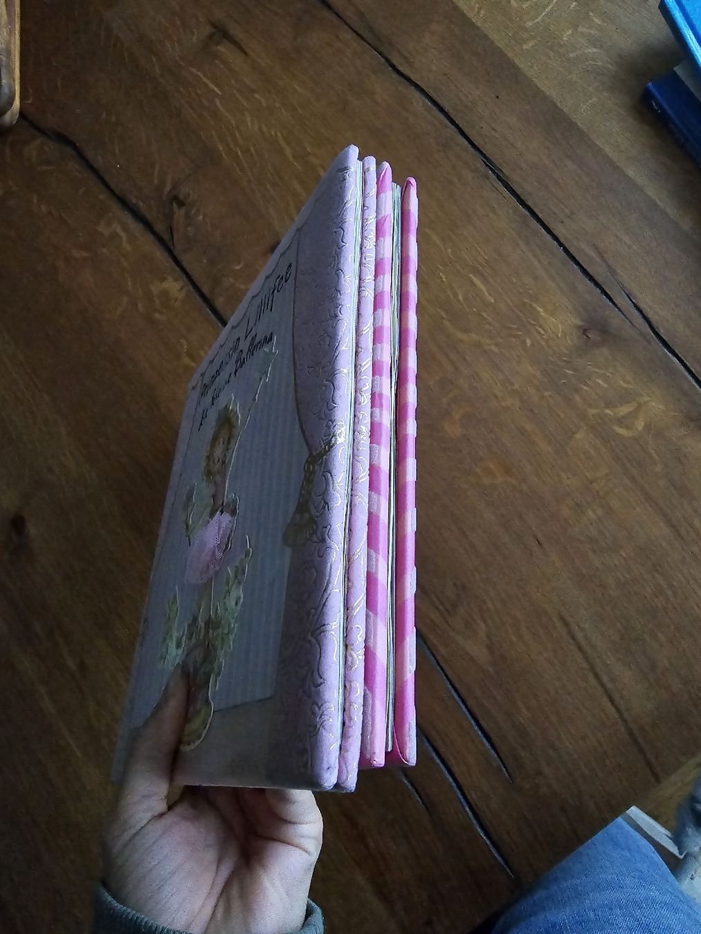 Libri: prinzessin lillifee bücher set – Usato da Wittenbach venduto da Tigerlili 1