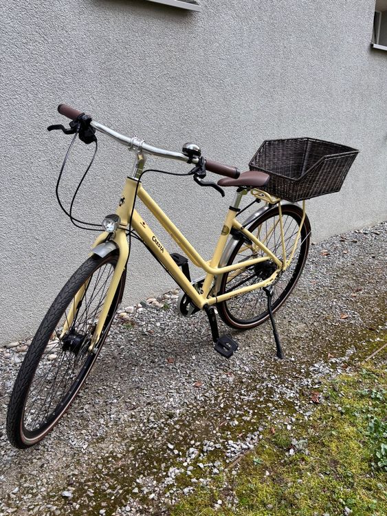 Cresta Largo Alto Gates Nexus 8 – Top Zustand, Korb (Gebraucht) in ...
